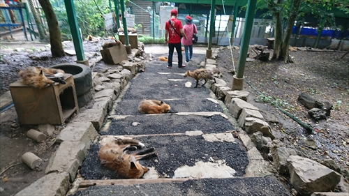 29���E�����L�c�l�����x���W�����I